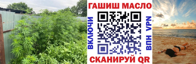 Дистиллят ТГК THC oil  Сорочинск 