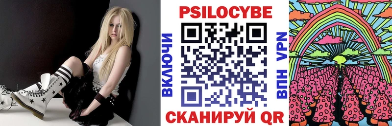 Псилоцибиновые грибы Psilocybe  darknet состав  Сорочинск 