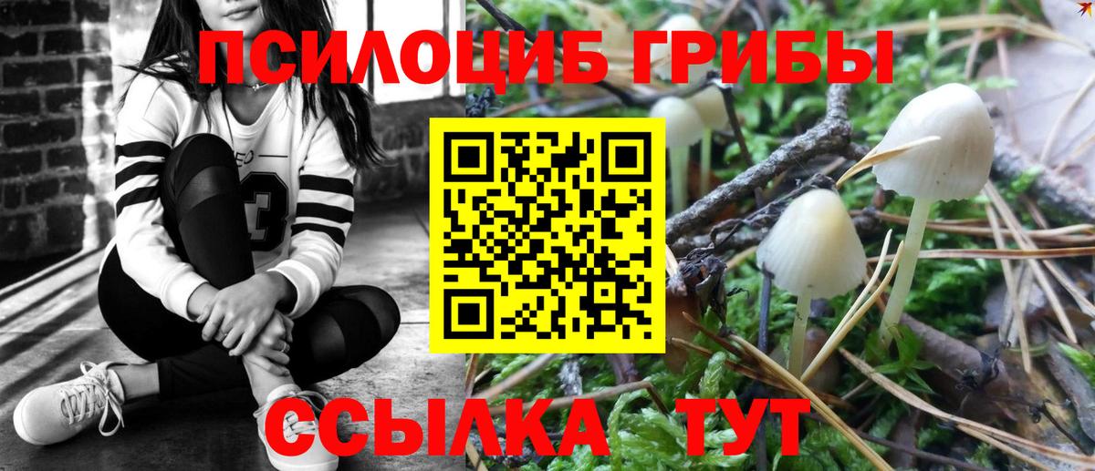 купить  цена  Вход с VPN  Сорочинск  Галлюциногенные грибы мицелий 