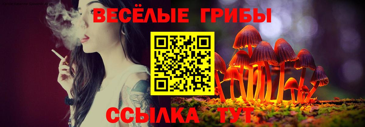 Галлюциногенные грибы GOLDEN TEACHER  Сорочинск 